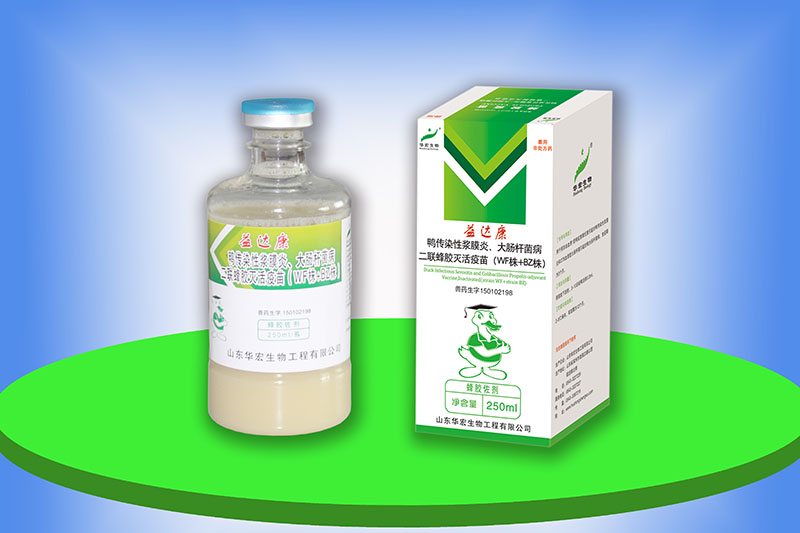 鴨傳染性漿膜炎、大腸桿菌病二聯(lián)蜂膠滅活疫苗（WF株+BZ株）